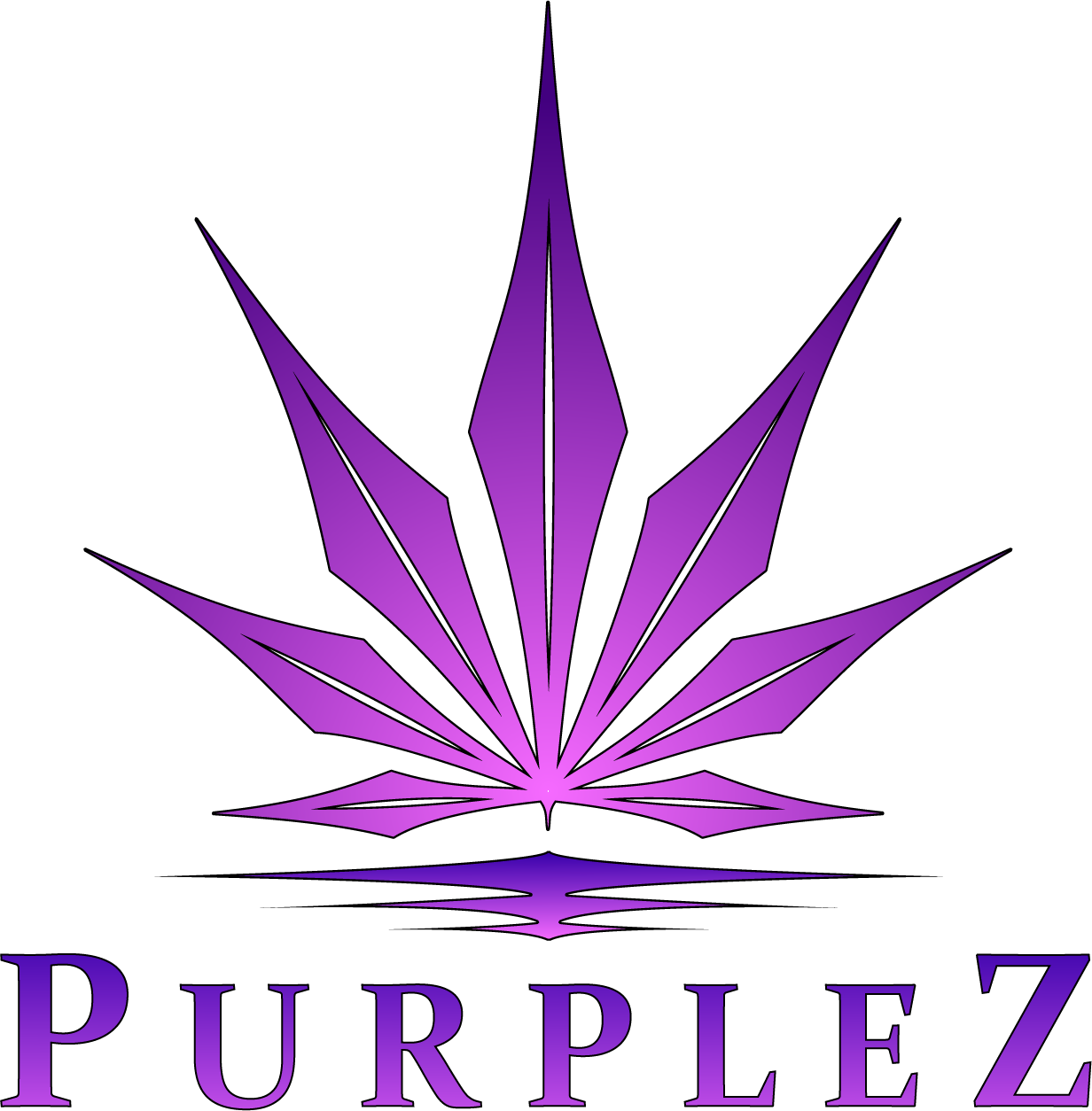 Purplez CSC Stuttgart